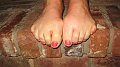 happy feet 007